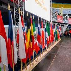 Campionatul Mondial Felin 2025
