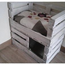 Surpriză pentru pisica ta! Cele mai ingenioase idei de „căsuțe” pentru animalul tău de companie