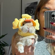 Ducky day 🐣 #bunnydayoff #bunny#brand #fashionista #rabbitsofinstagram #netherlanddwarfbunny #c (1)