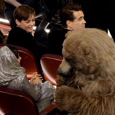 Cocaine Bear