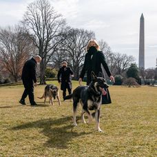 Câinii lui Joe Biden, mutați de la Casa Albă după ce au devenit agresivi. Unde au ajuns patrupedele