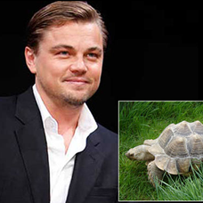 Leonardo DiCaprio