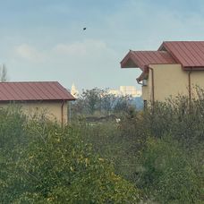 casa poporului