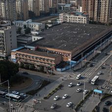Raport OMS | Specialiștii nu au putut determina originea coronavirusului, nici cum s-a transmis la om 