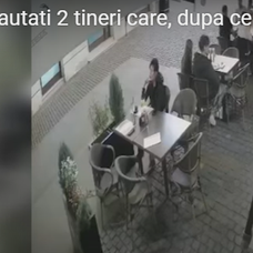 opinnia timisoarei 2