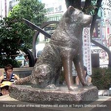 statuia lui Hachiko