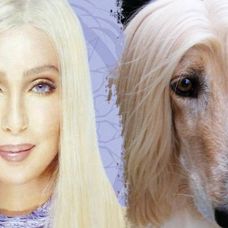 Cher