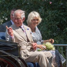 Prințul Charles, fermier pe domeniul regal Sandringham. A transformat propritatea în fermă organică