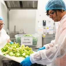 Șef sub acoperire, 21 noiembrie 2024. Dragoș Popa merge la fabrica de producție Domino's Pizza, unde o cunoaște pe Claudia Leca. Pâna ca ziua de muncă să se încheie, acesta sesizează o probl (6)