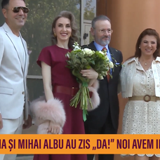 albu 7