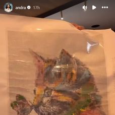 andra cu pisica