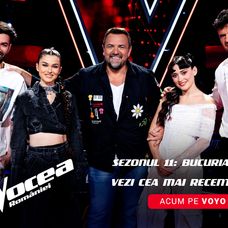 Vocea_NL