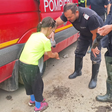 Captură de ecran 2025-08-01 110641