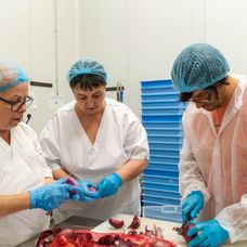  Șef sub acoperire, 21 noiembrie 2024. Dragoș Popa merge la fabrica de producție Domino's Pizza, unde o cunoaște pe Claudia Leca. Pâna ca ziua de muncă să se încheie, acesta sesizează o probl (8)