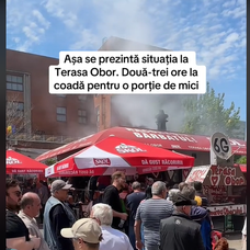 mici 2