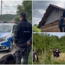 raisa disparuta cautari