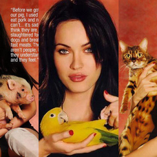 Megan Fox