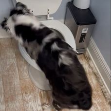 ewfqwef