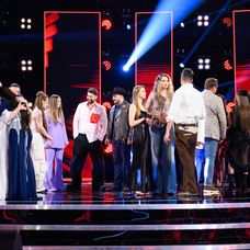 Vocea României (2)
