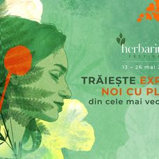 KV_Herbarium_2