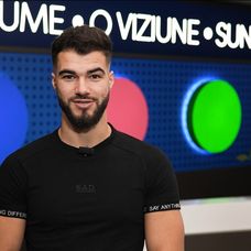 iancu sterp-surv 