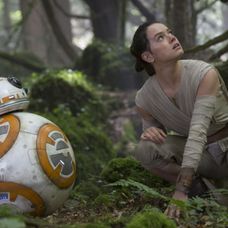 Daisy Ridley. Sursa Foto: wall.alphacoders.com
