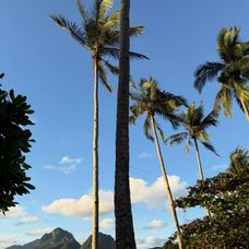 Jurnal din Filipine, Palawan, El Nido - partea 2 ✨📍Nacpan beach - o plajă foarte lungă și lată, (1)