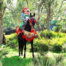 THE GARDEN H.R.H. Princess Kalina of Bulgaria and Simeon Hassan Muñoz y Sajonia-Coburgo #thegard