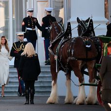GettyImages-2248270575