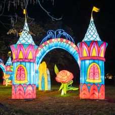 GARDEN OF LIGHTS-281