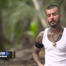 zanni 1 mai survivor all