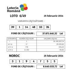lot 4