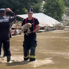 Captură de ecran 2025-07-29 132658