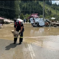 Captură de ecran 2025-07-29 135034