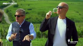 Wine Trips România – Ep.1 Povestea Cramei Lacerta