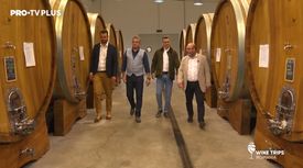 Wine Trips Romania – Ep.3 Povestea Cramei Viile Metamorfosis