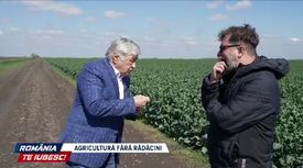 Agricultură fără rădăcini