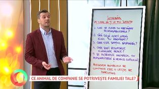 Ce animal de companie se potrivește familiei tale?