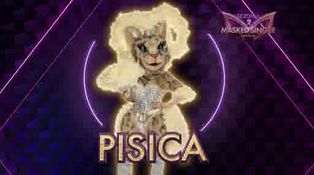 Misterul face jocul! A doua mască de la Masked Singer România este Pisica