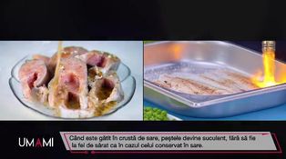 Ediția 15