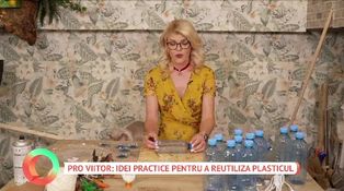 Pro viitor: Idei practice pentru a reutiliza plasticul