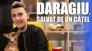 Viaţa bate vlogul - sez. 2, episodul 12: Daragiu, salvat de un catel