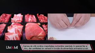 Ediția 11