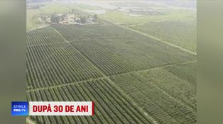 România, după 30 de ani de capitalism: Frustrare, haos și corupție în domeniul proprietății