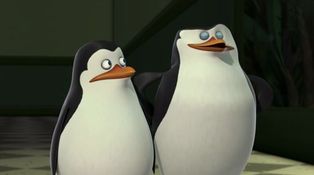 Episodul 5