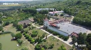 Wine Trips România S3E10 | Să ne bucurăm de o vizită la Château Purcari, alături de cântărețul Pasha Parfeni