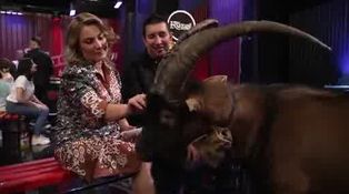 Ne întoarcem în culisele Vocea României pentru a ne intalni cu tapul Kozel