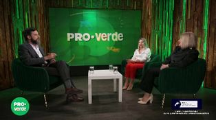 Episodul 15