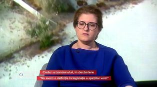 Reguli noi în urbanism. Ce schimbări cer marii investitori imobiliari