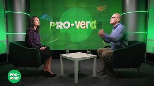 Episodul 4